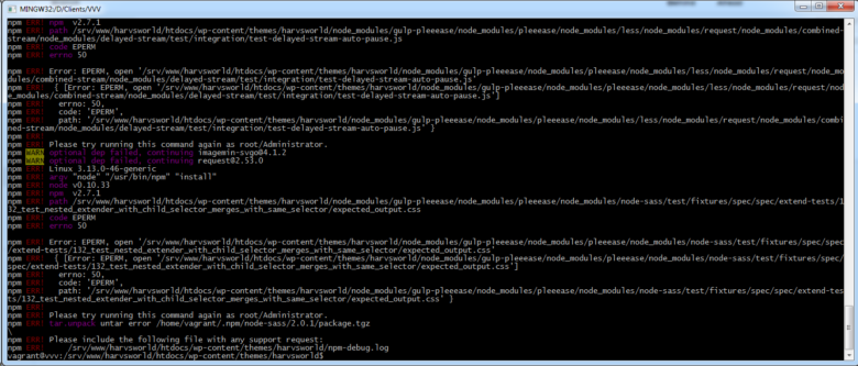 Screenshot npm install errors